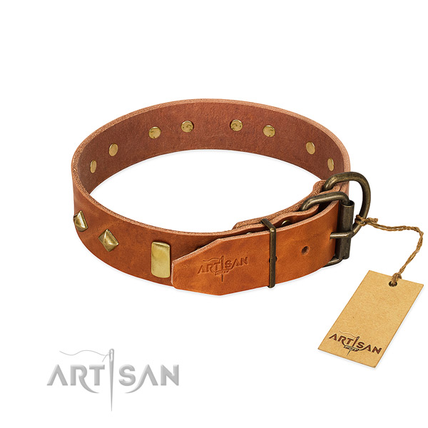 Everyday use leather dog collar with stylish studs