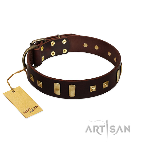 Quality genuine leather dog collar with decorations for everyday walking