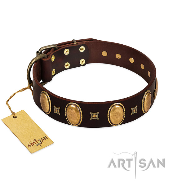 Genuine leather dog collar with exceptional embellishments for daily walking
