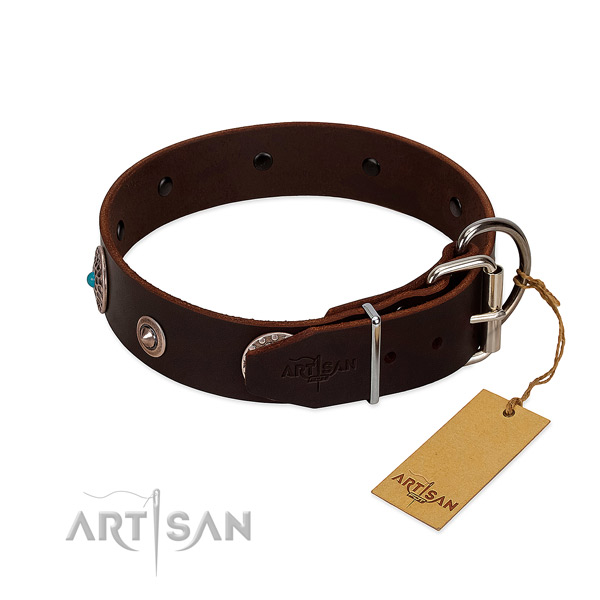 Exquisite adorned full grain leather dog collar