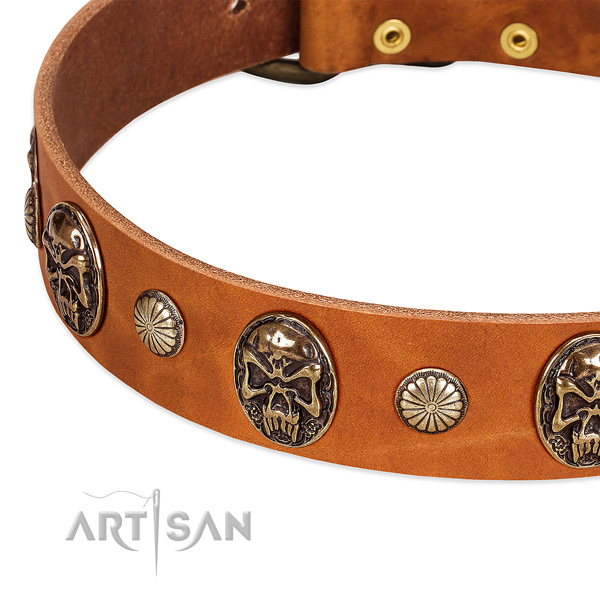 Corrosion proof traditional buckle on genuine leather dog collar for your canine