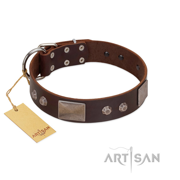 Easy to adjust genuine leather dog collar with corrosion resistant D-ring