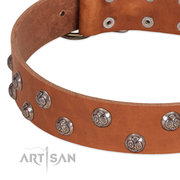 Full grain leather dog collar with durable D-ring and embellishments