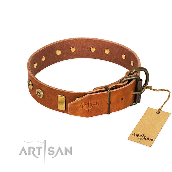 Trendy adorned full grain natural leather dog collar of top notch material