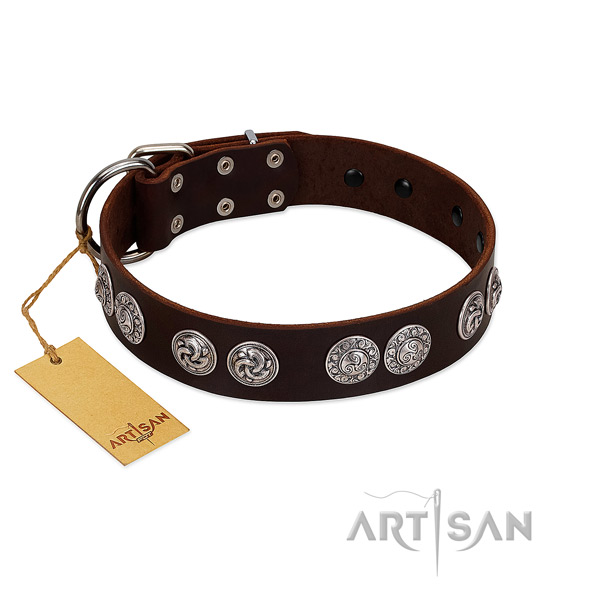 Stunning full grain genuine leather collar for your dog stylish walking