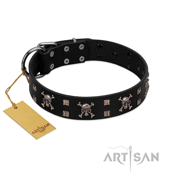 Strong genuine leather dog collar crafted for your canine