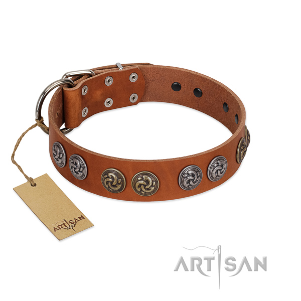 Corrosion resistant fittings on leather dog collar for comfortable wearing