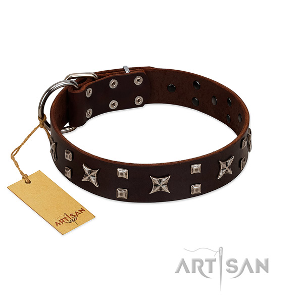 Quality leather dog collar with decorations for comfortable wearing