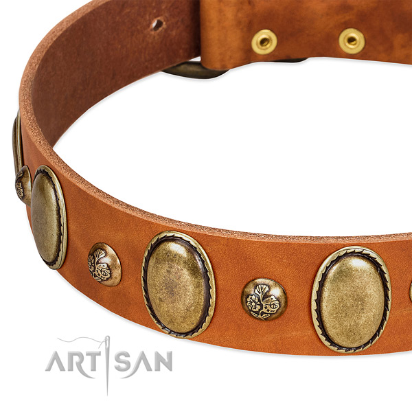 Natural leather dog collar with fashionable studs
