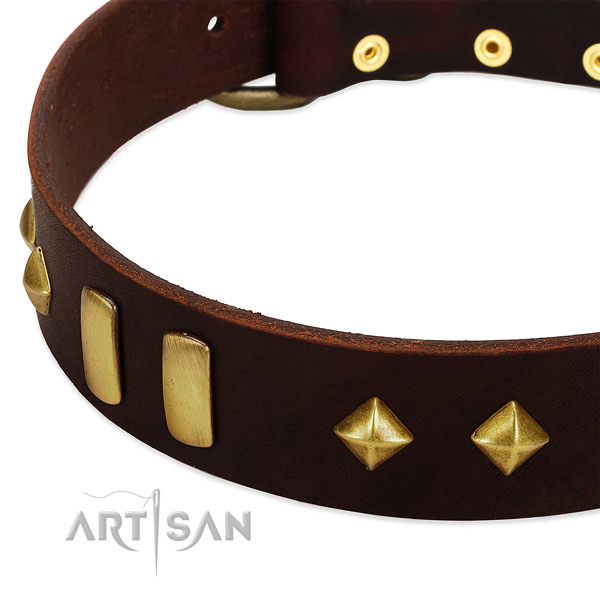 Reliable natural leather dog collar with awesome studs