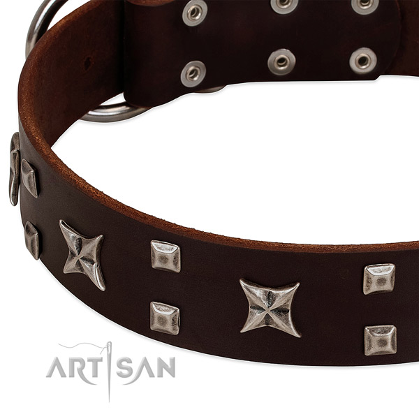 Top notch full grain natural leather dog collar with embellishments for handy use