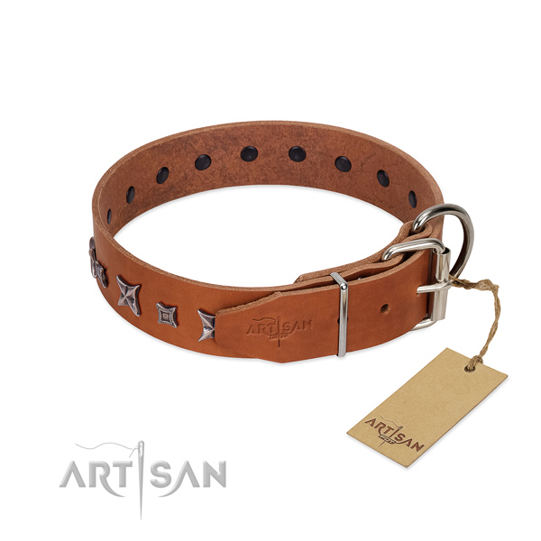 Full grain leather dog collar with unique adornments created pet