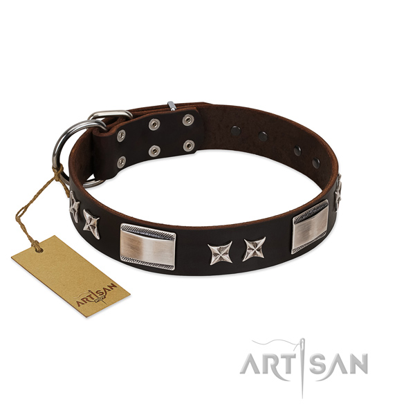 Embellished dog collar of leather