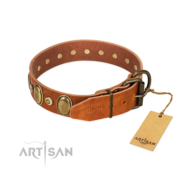 Corrosion proof traditional buckle on everyday use collar for your canine