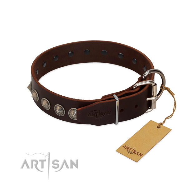 Remarkable embellished full grain leather dog collar for everyday use