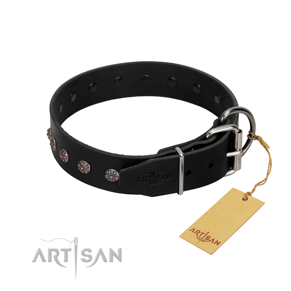 Top rate full grain natural leather dog collar with studs for fancy walking