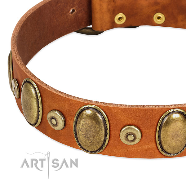 Easy wearing genuine leather collar for your beautiful dog