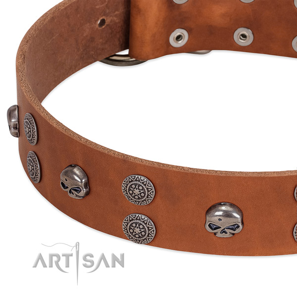 Best quality full grain leather dog collar with unusual decorations