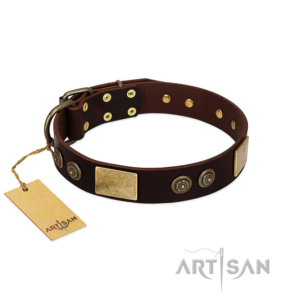 Rust resistant decorations on full grain leather dog collar for your doggie