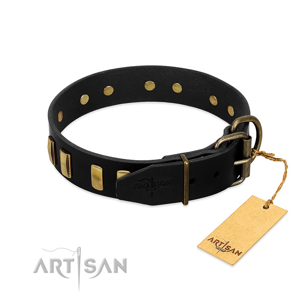 Full grain leather dog collar with reliable fittings for comfortable wearing