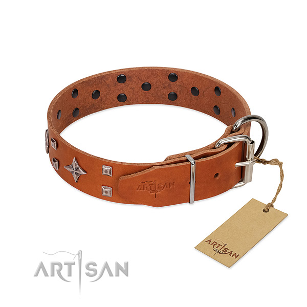 Remarkable genuine leather collar for your doggie stylish walks