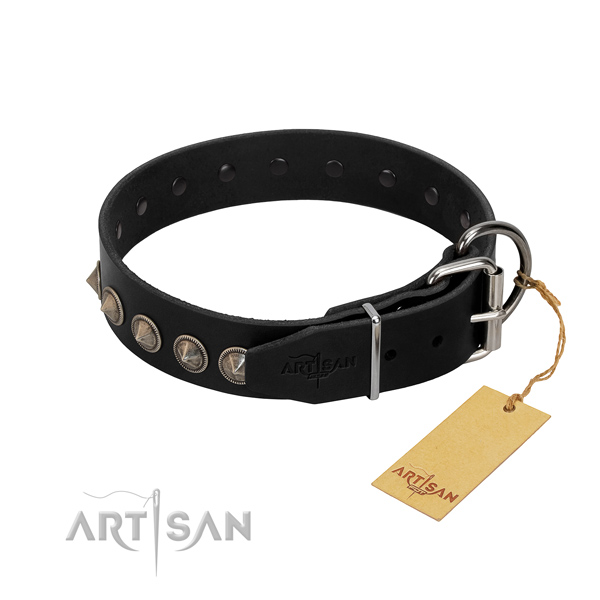 Natural leather dog collar with stunning adornments handcrafted four-legged friend