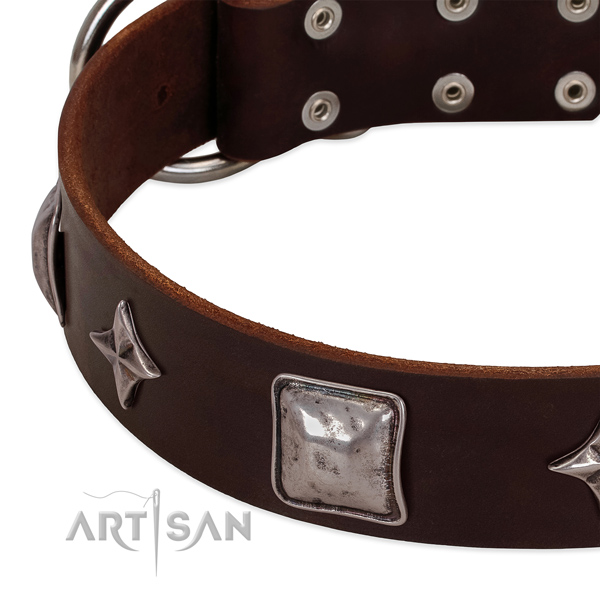 Walking leather dog collar with unusual adornments