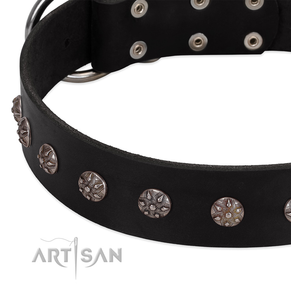 Top notch leather dog collar with amazing decorations