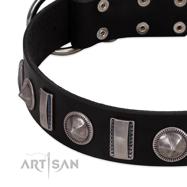 Stylish genuine leather dog collar with corrosion resistant adornments