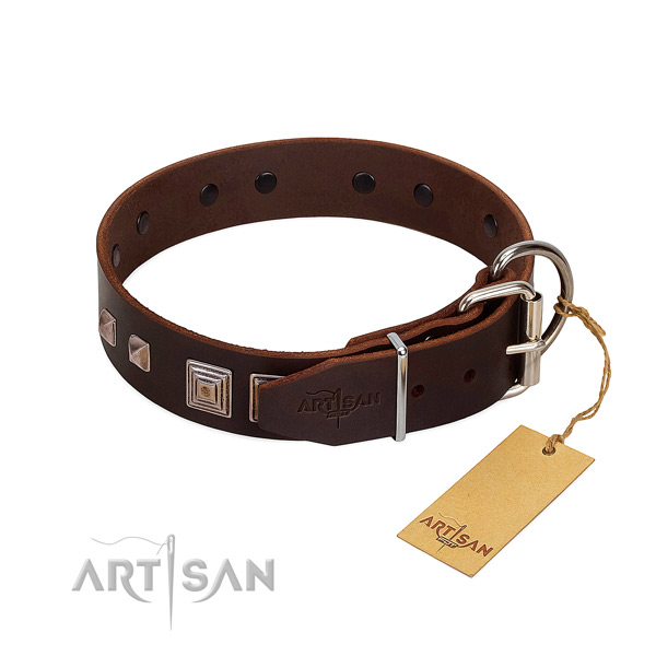 Everyday use full grain leather dog collar with extraordinary embellishments