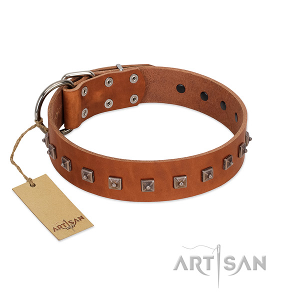 Amazing studded full grain natural leather dog collar