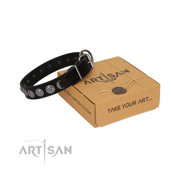 Rust-proof buckle on full grain leather dog collar for everyday walking your doggie