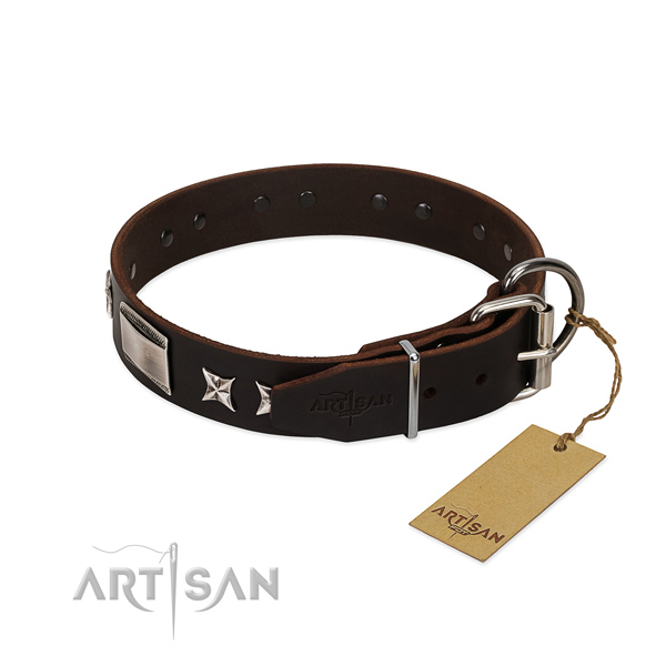 Stylish collar of natural leather for your stylish pet
