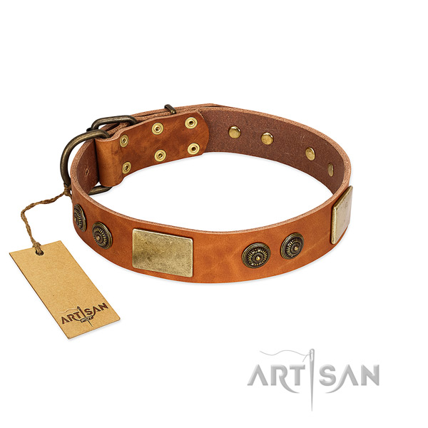 Easy wearing genuine leather dog collar for daily use
