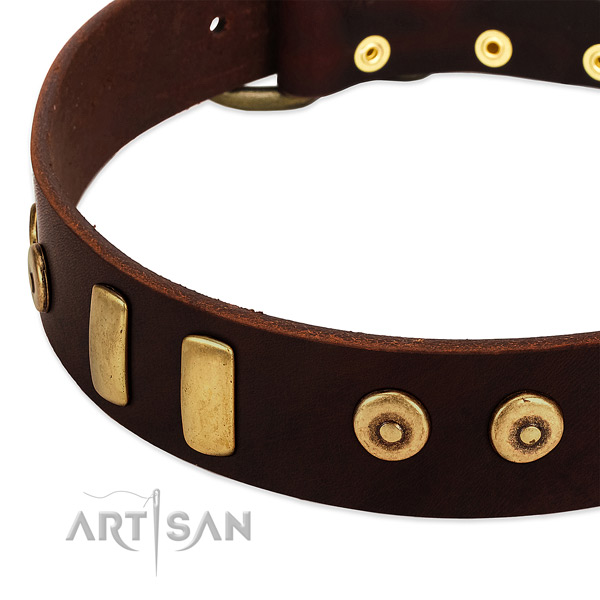 Top notch full grain genuine leather collar with exceptional decorations for your dog