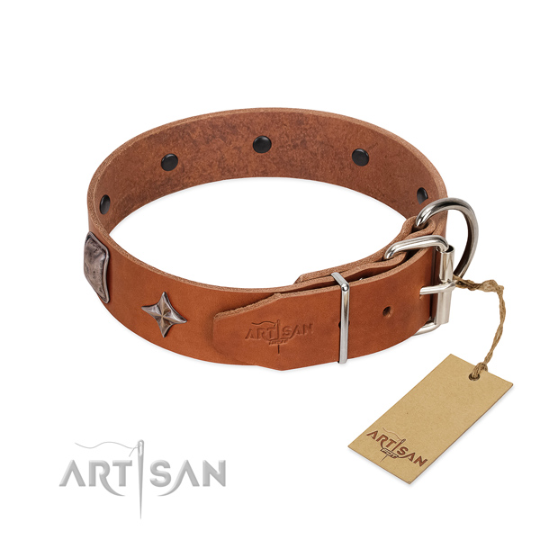 Soft to touch full grain natural leather dog collar with stunning studs