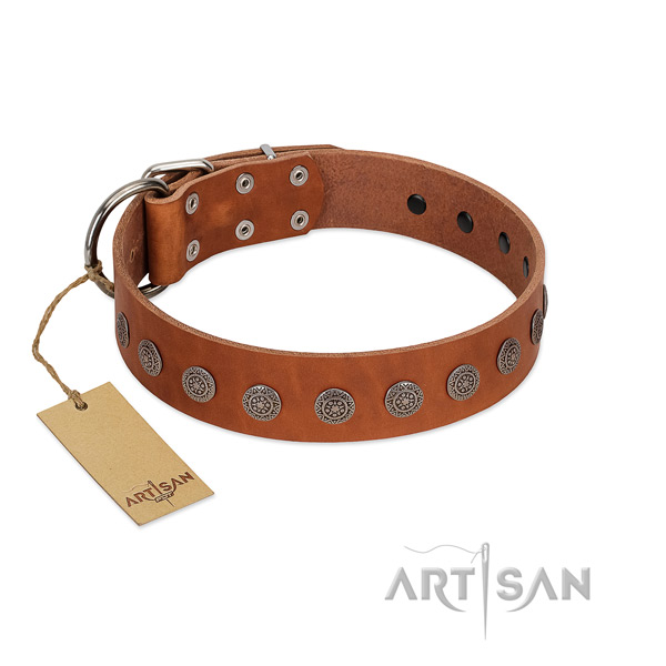 Exceptional adornments on natural leather collar for handy use your dog