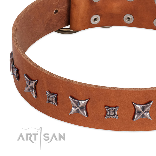 Trendy full grain leather collar for your beautiful four-legged friend