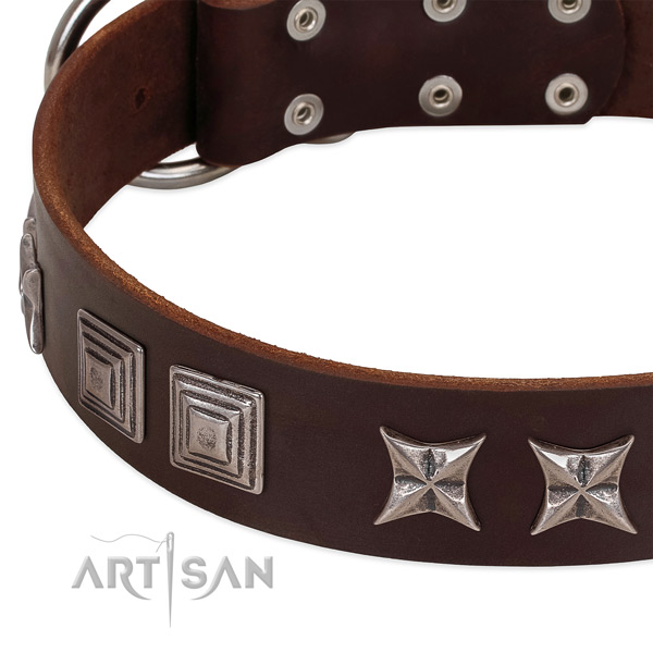Daily use genuine leather dog collar with designer studs
