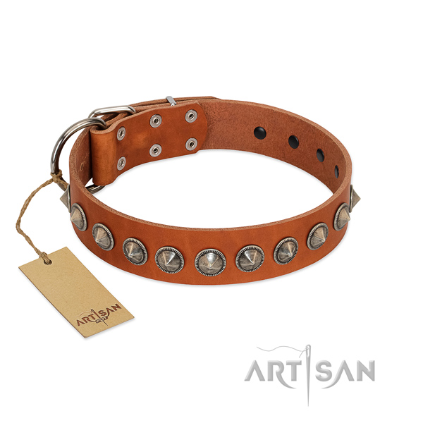 Natural leather dog collar with unusual studs handcrafted pet