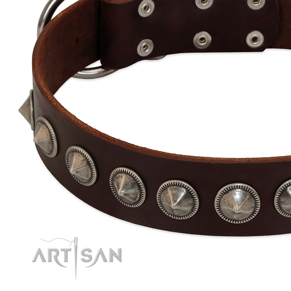 Comfortable wearing studded full grain natural leather collar for your doggie
