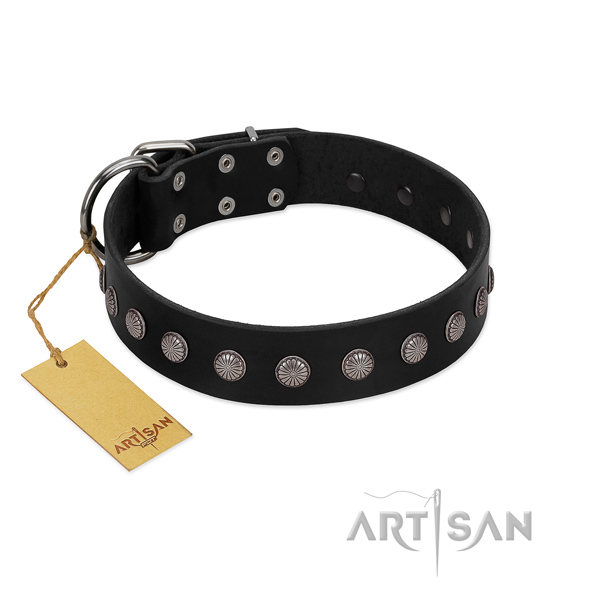 Natural leather dog collar with inimitable embellishments made four-legged friend