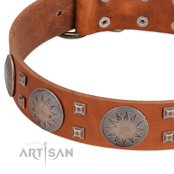 Daily use reliable full grain leather dog collar