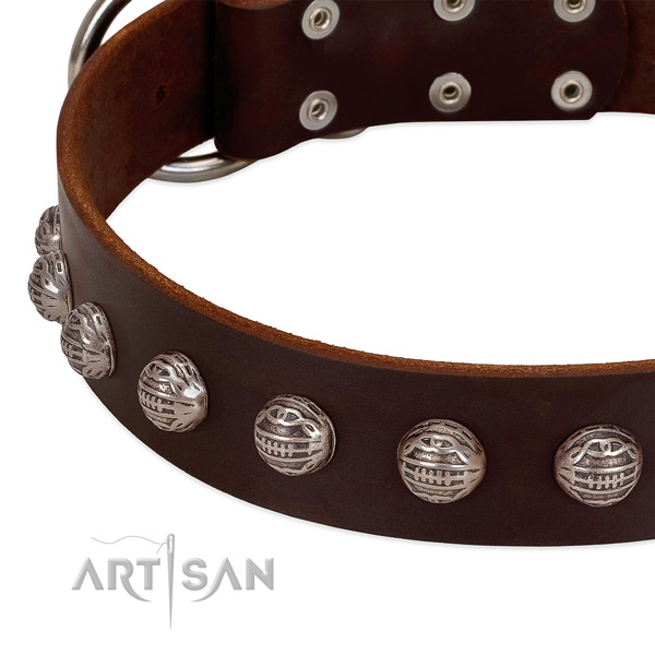 Full grain natural leather collar with top notch adornments for your doggie