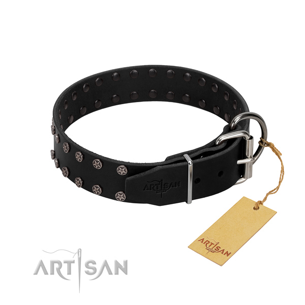 Soft full grain leather dog collar with embellishments for your dog