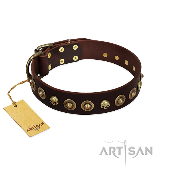 Full grain natural leather collar with remarkable embellishments for your doggie