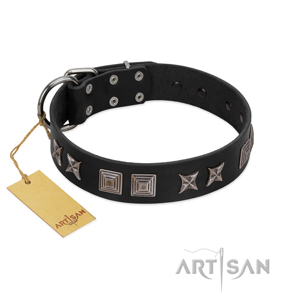 Leather dog collar with significant decorations crafted dog