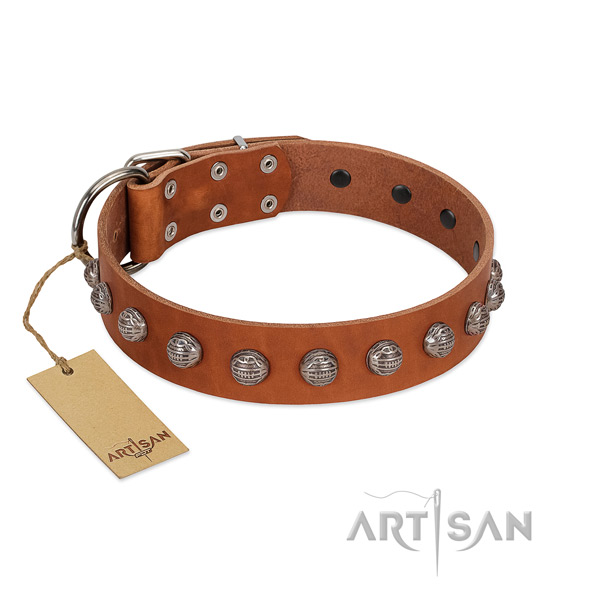 Full grain leather collar with stylish embellishments for your canine