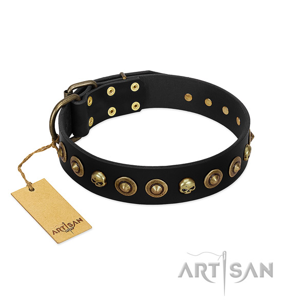 Full grain leather collar with extraordinary decorations for your pet