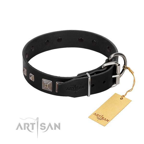Stylish walking leather dog collar with top notch embellishments